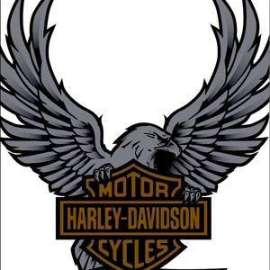 Meet your Posher, Kurtis